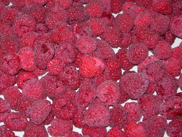 IQF Raspberry whole and crumbles