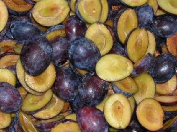 IQF Plum halves and whole with stone